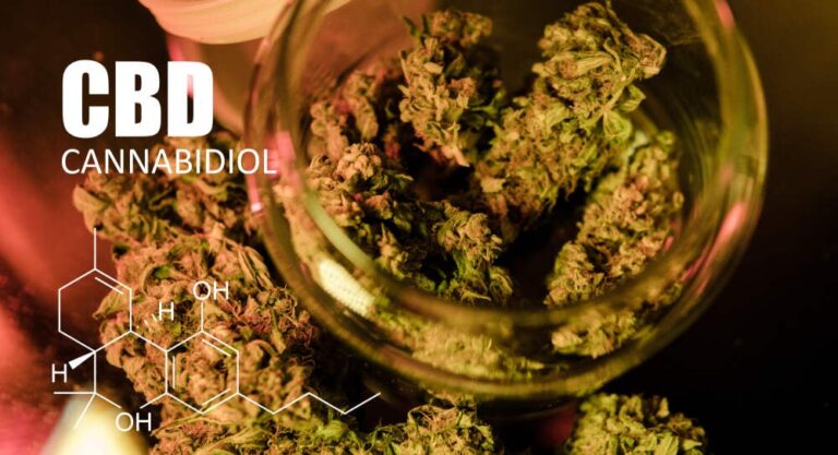 Buds-of-some