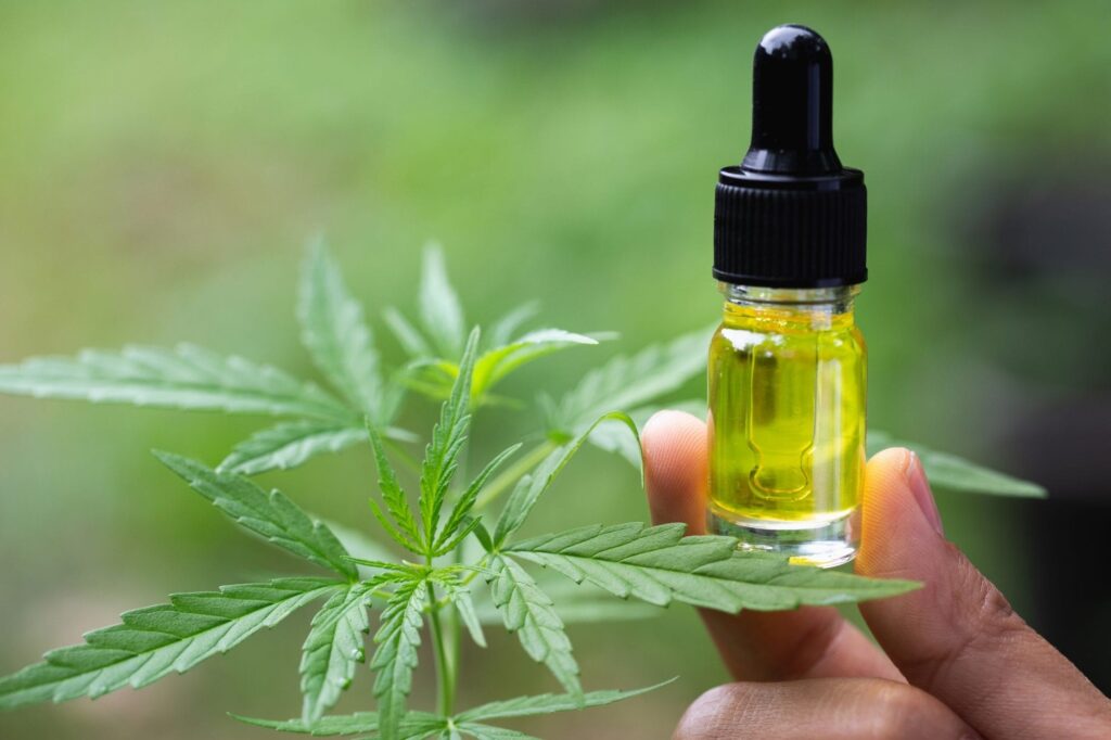  CBD Oil in Cancer Treatment and Pain Management