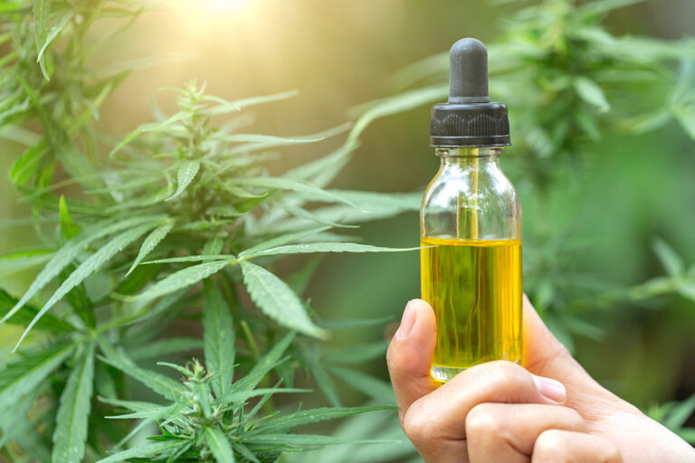 The role of CBD Oil in Cancer Treatment and Pain Management