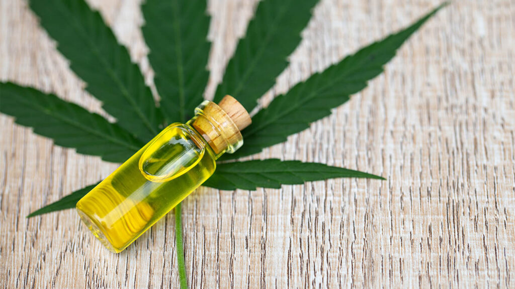 cbd oil