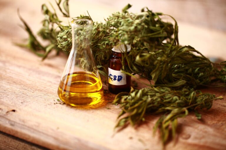 CBD Oil Bioavailability How Food and Timing Impact Absorption