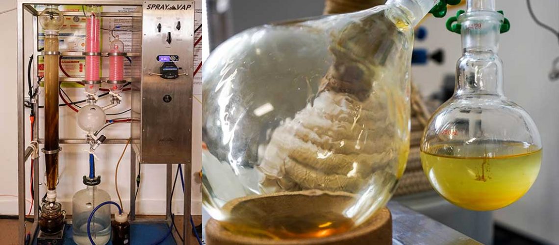 CBD Extraction
