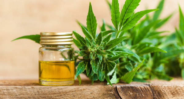 CBD Oil vs Hemp Oil Understanding the Key Differences