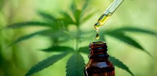 CBD Oil for Knee Pain